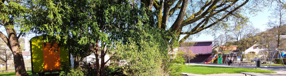 Primarschule Talhof-Erlen