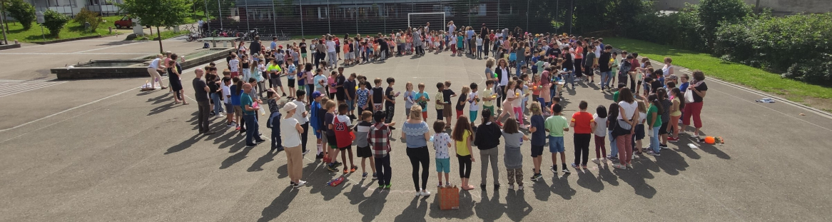 Primarschule Talhof-Erlen